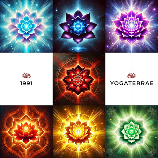 L'HISTOIRE DES CHAKRAS