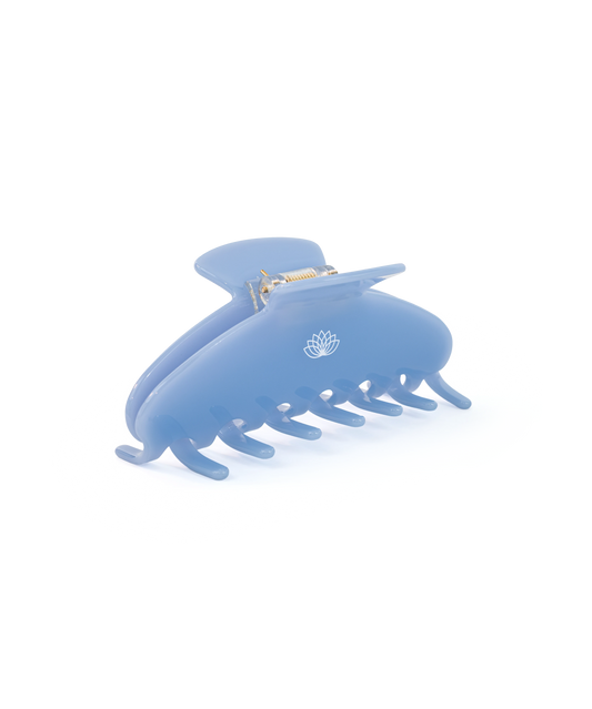 PINCE À CHEVEUX  BLEU CIEL