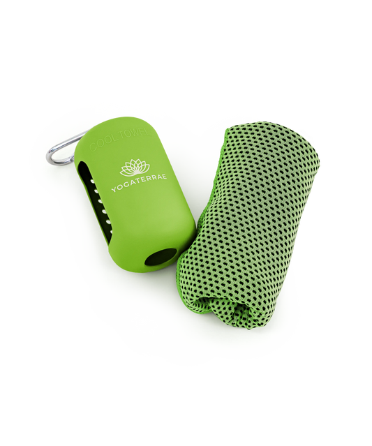 SERVIETTE FRESH EXPRESS – ÉTUI SILICONE VERT