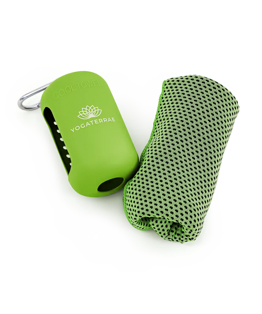 SERVIETTE FRESH EXPRESS – ÉTUI SILICONE VERT