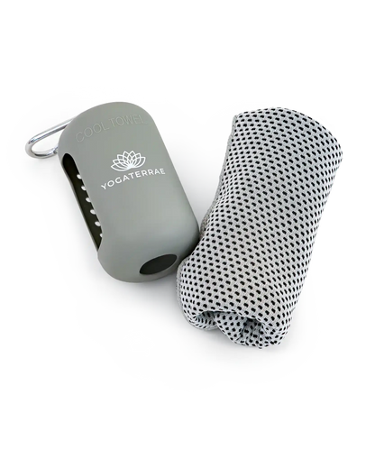 SERVIETTE FRESH EXPRESS – ÉTUI SILICONE GRIS