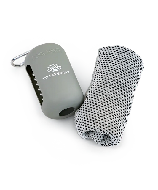 SERVIETTE FRESH EXPRESS – ÉTUI SILICONE GRIS