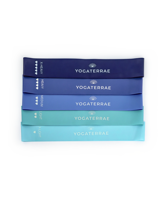 BANDES ÉLASTIQUES DE RÉSISTANCE – 5 INTENSITÉS – BLEU