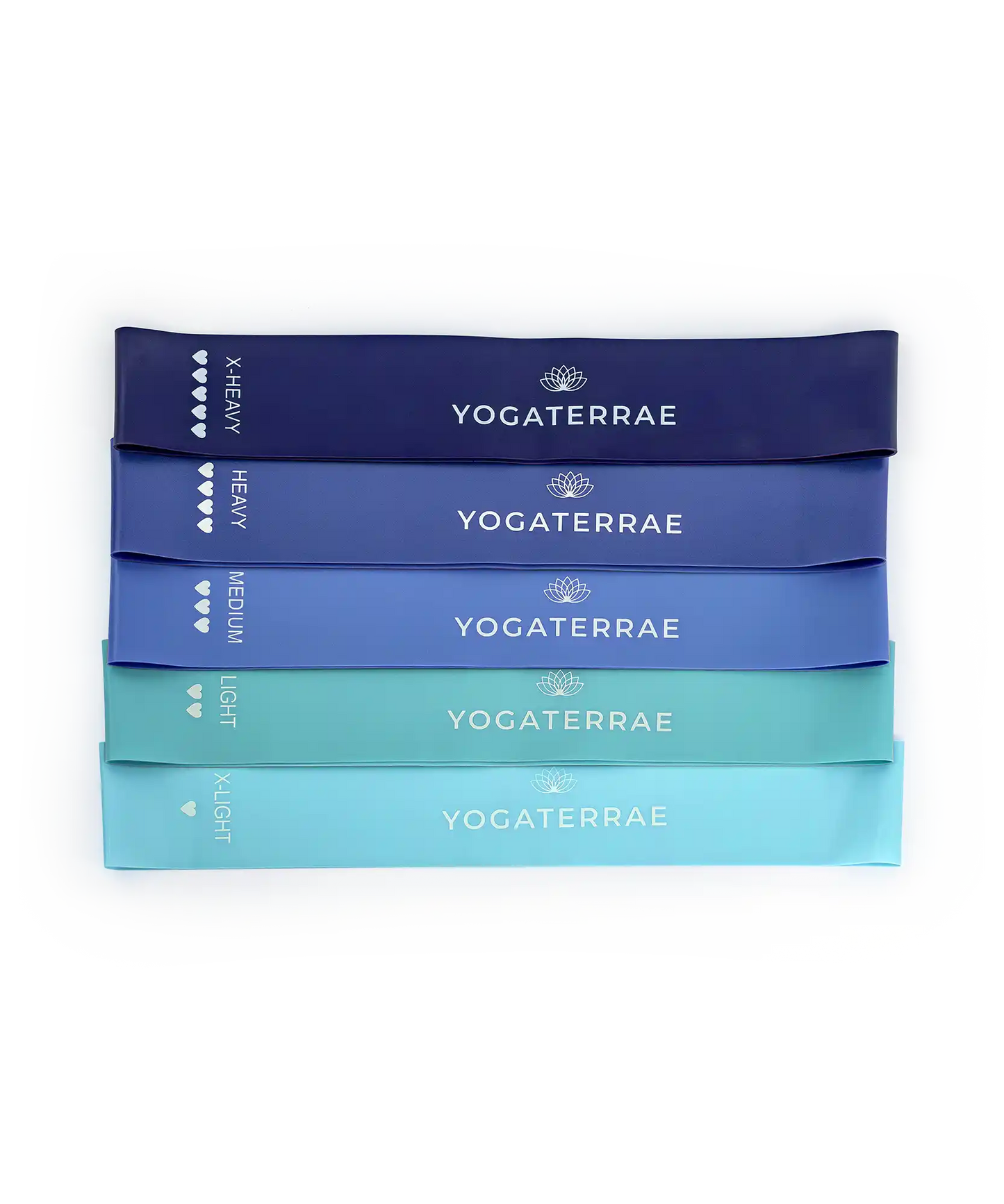 BANDES ÉLASTIQUES DE RÉSISTANCE – 5 INTENSITÉS – BLEU