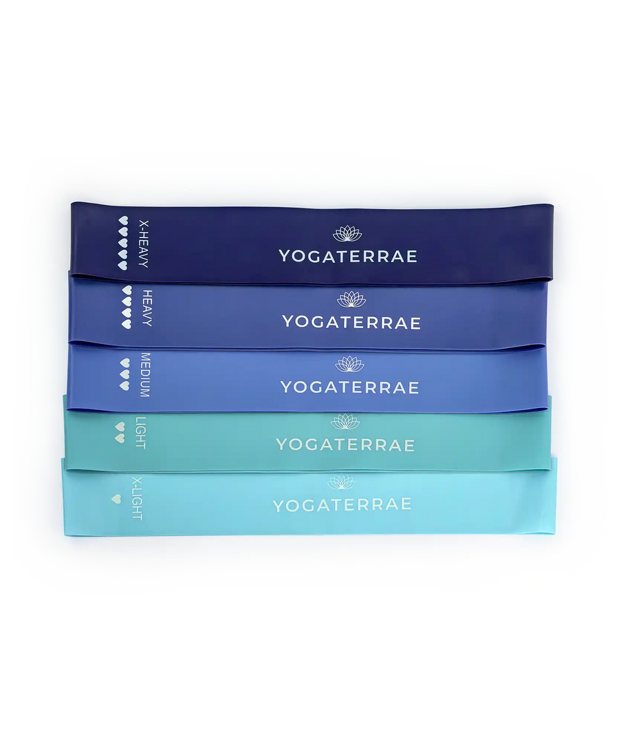BANDES ÉLASTIQUES DE RÉSISTANCE – 5 INTENSITÉS – BLEU