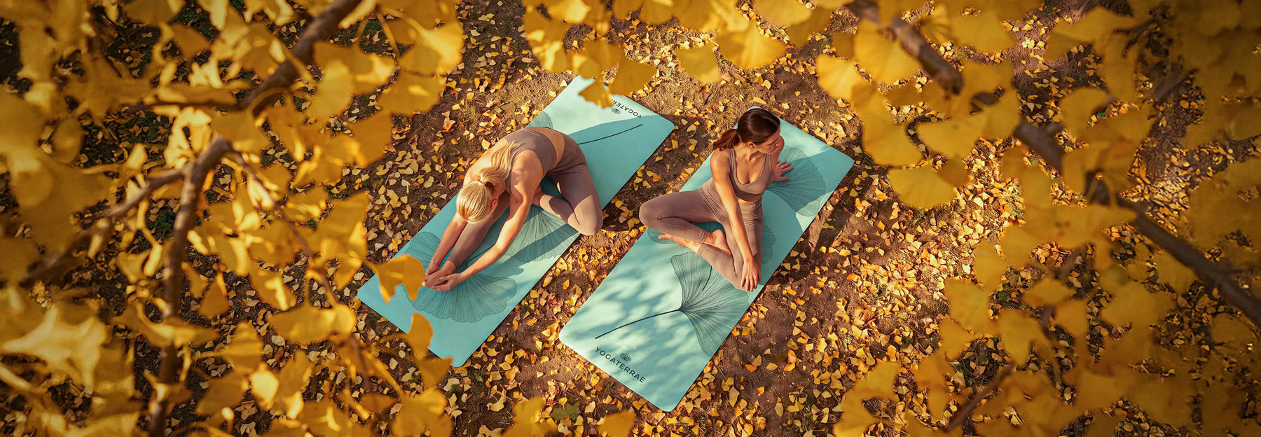 YOGATERRAE
